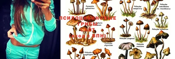 мяу мяу кристалл Заволжье